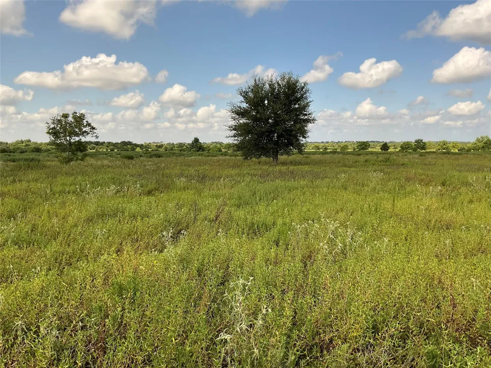 Drymalla Rd Cat Spring, TX 78933