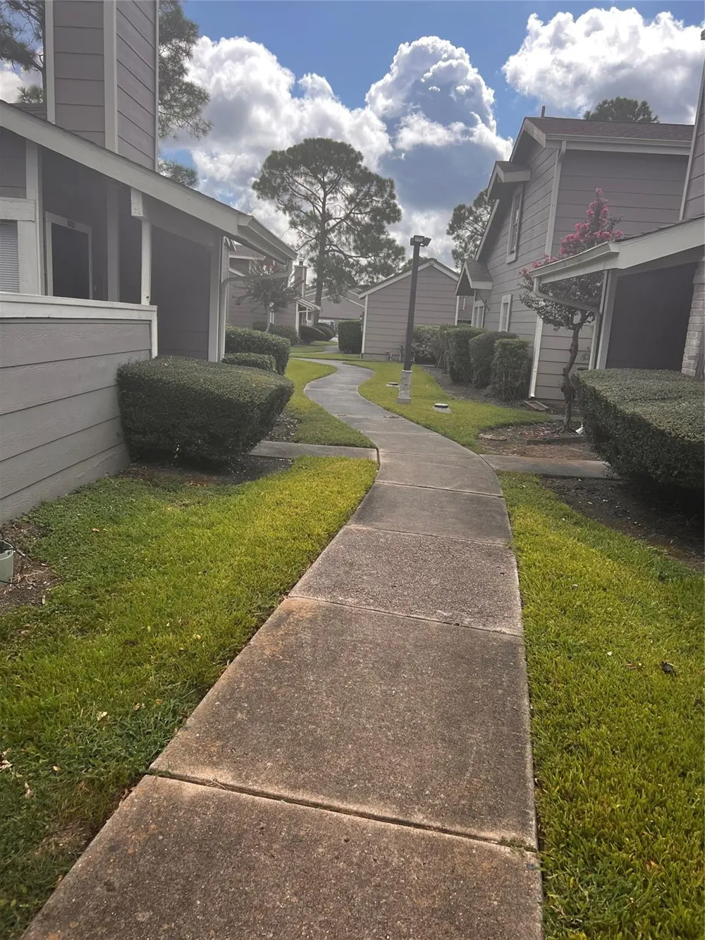 12245 Lemon Ridge Lane #122 Houston, TX 77035
