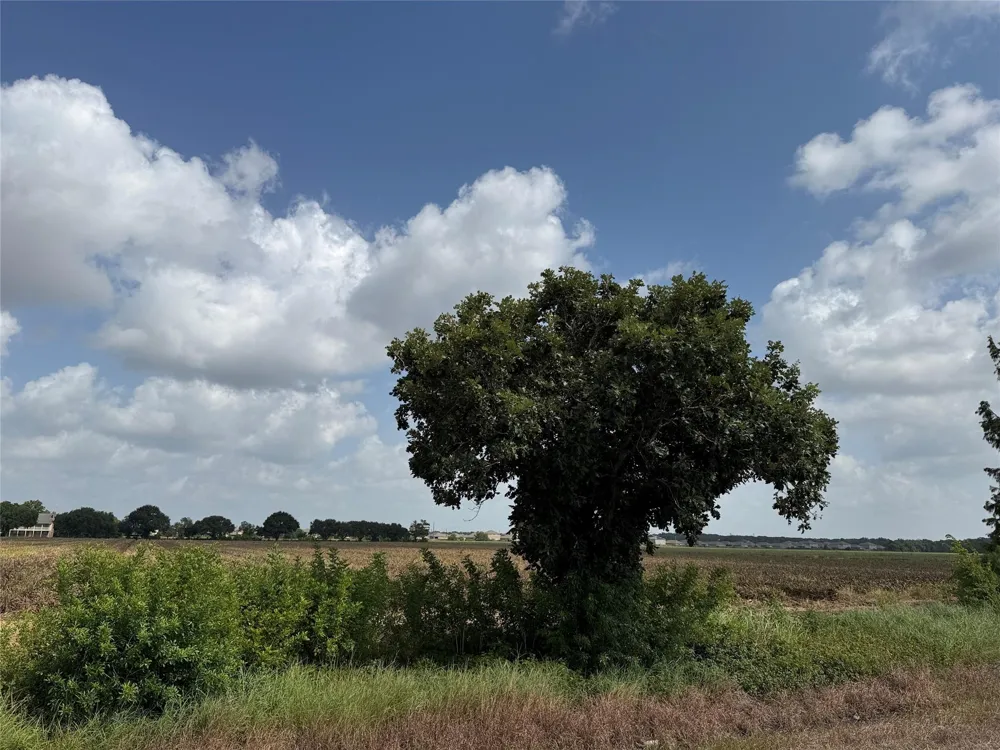 7618 Boothline Road Richmond, TX 77469