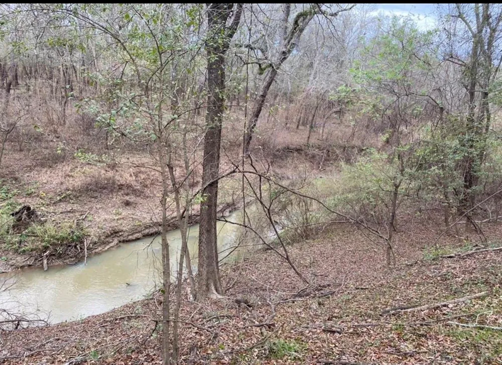 3 Cr 112 Centerville, TX 75833