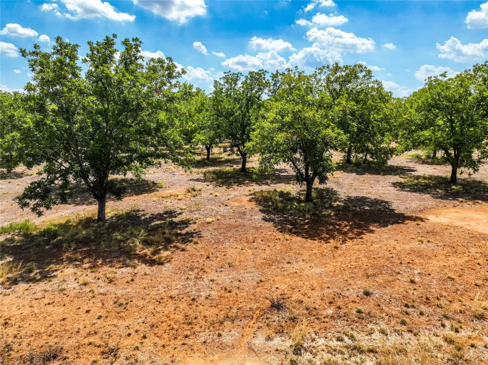 2 Fm 1784 Pleasanton, TX 78064
