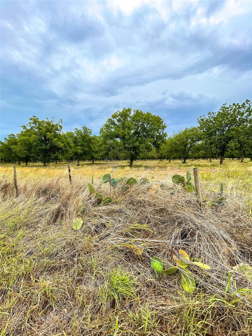2 Fm 1784 Pleasanton, TX 78064