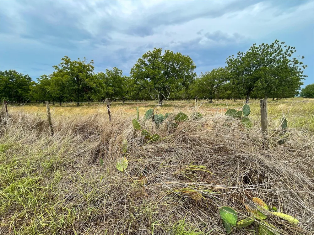 2 Fm 1784 Pleasanton, TX 78064