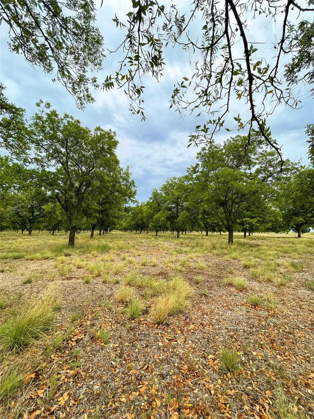 2 Fm 1784 Pleasanton, TX 78064