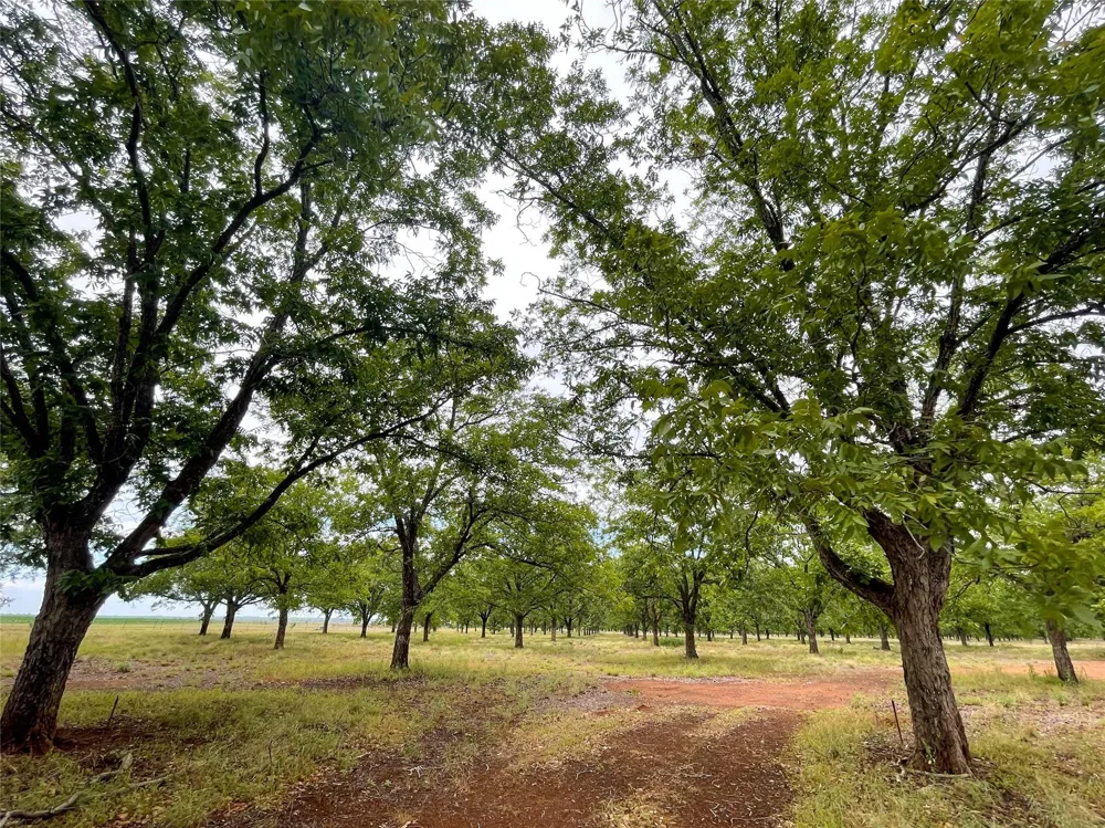 2 Fm 1784 Pleasanton, TX 78064