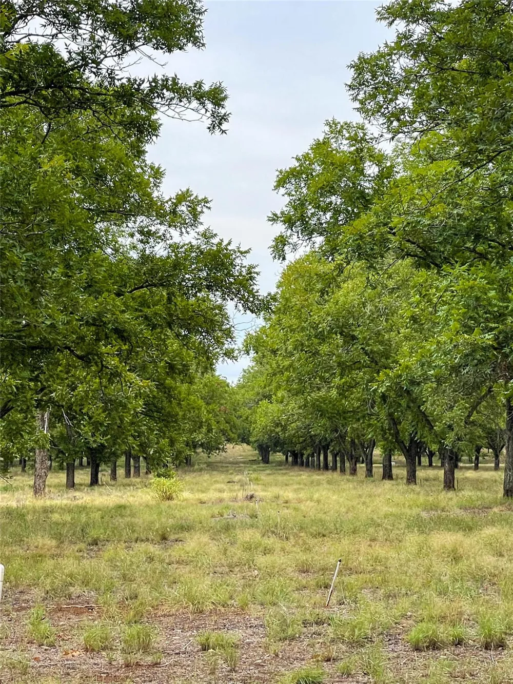 2 Fm 1784 Pleasanton, TX 78064