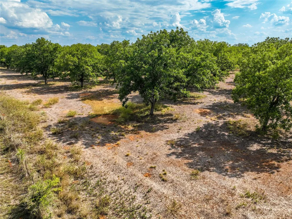 2 Fm 1784 Pleasanton, TX 78064
