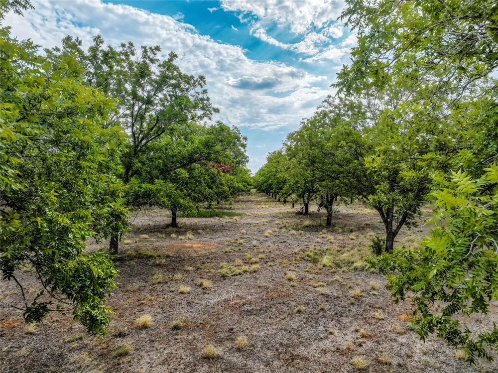 2 Fm 1784 Pleasanton, TX 78064