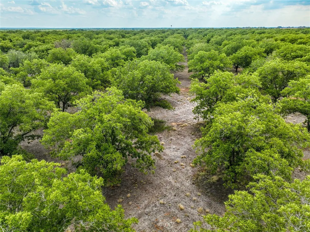 2 Fm 1784 Pleasanton, TX 78064