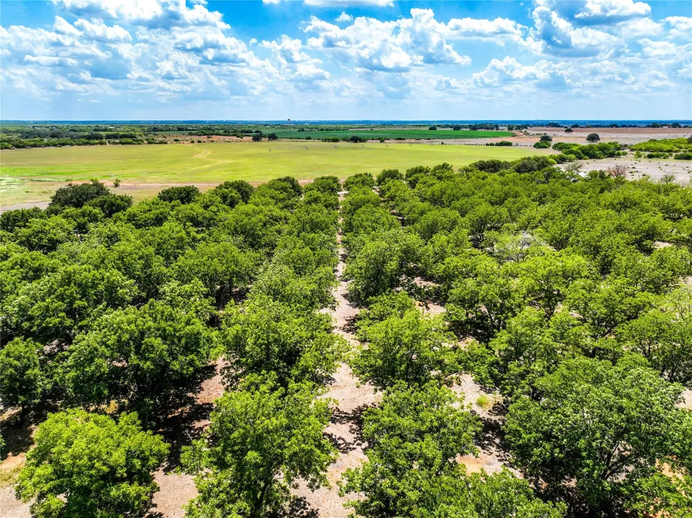 2 Fm 1784 Pleasanton, TX 78064
