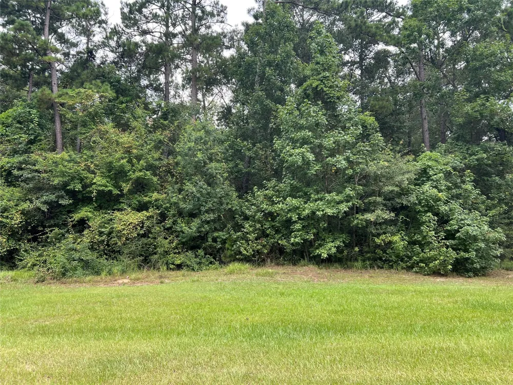 Lure Lane Livingston, TX 77351