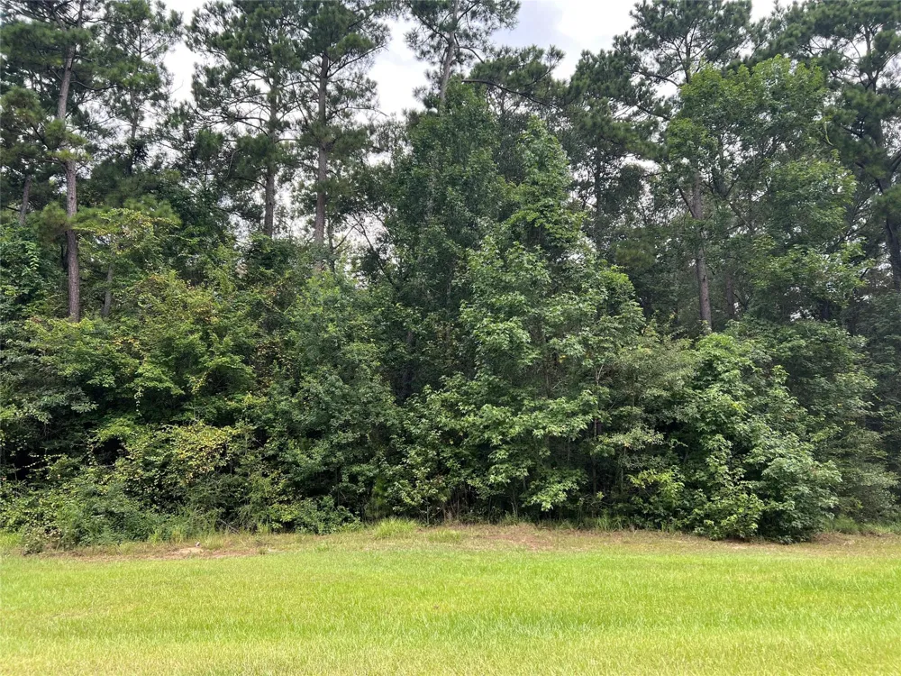 Lure Lane Livingston, TX 77351