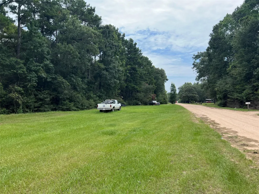 Lure Lane Livingston, TX 77351