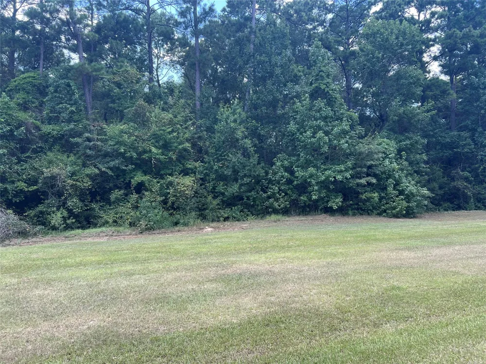 Lure Lane Livingston, TX 77351