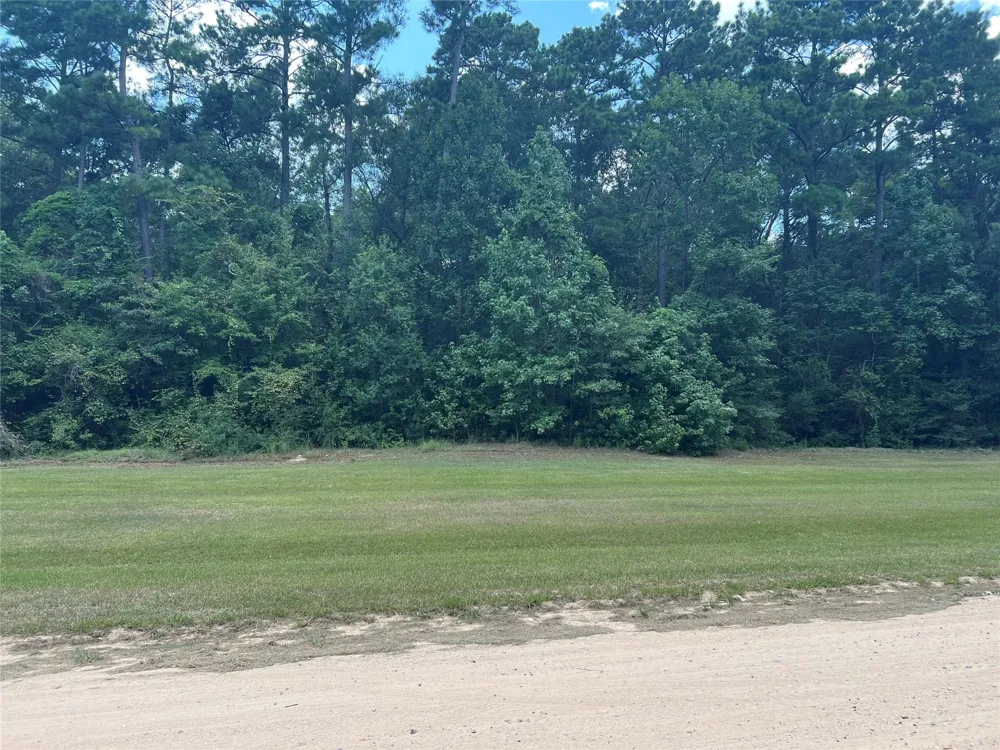 Lure Lane Livingston, TX 77351