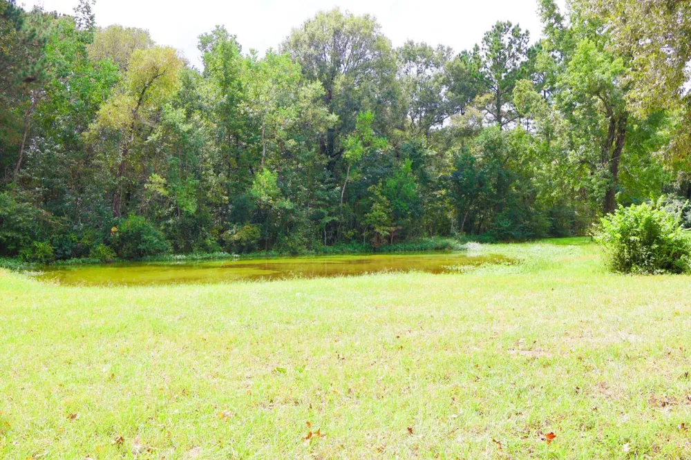 695 County Road 2309 Cleveland, TX 77327