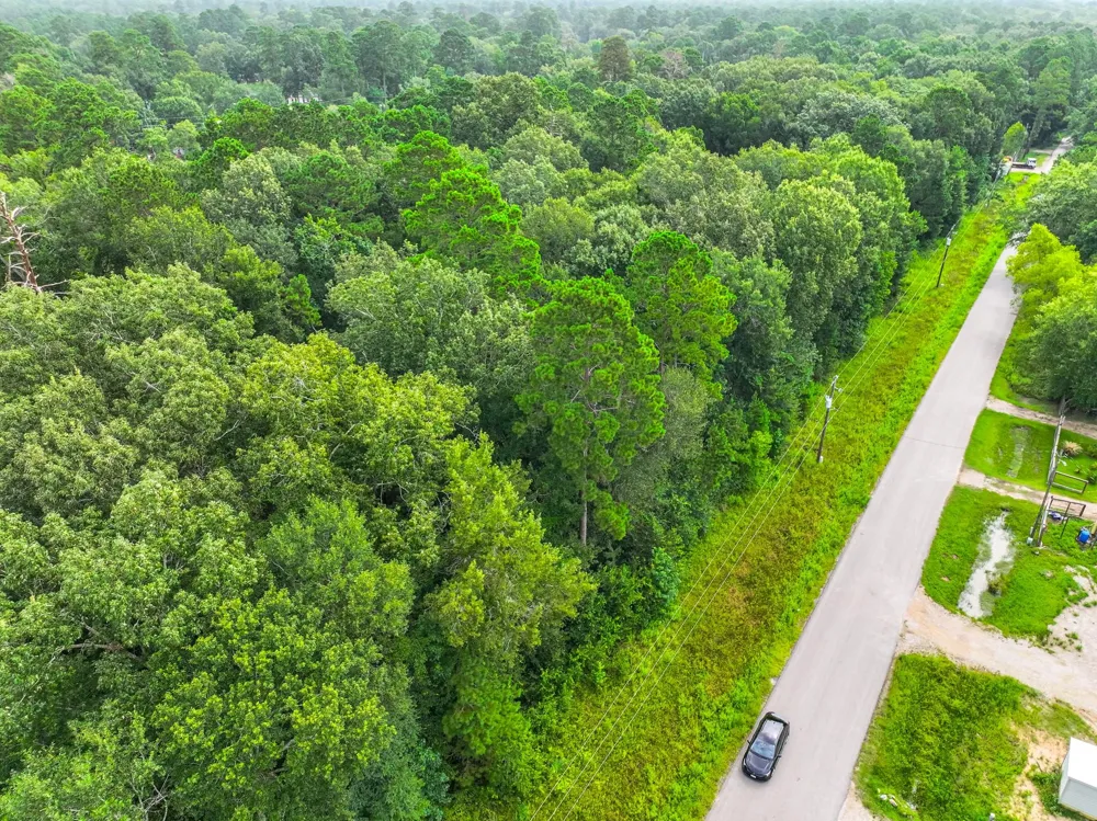 25545 Northampton New Caney, TX 77357