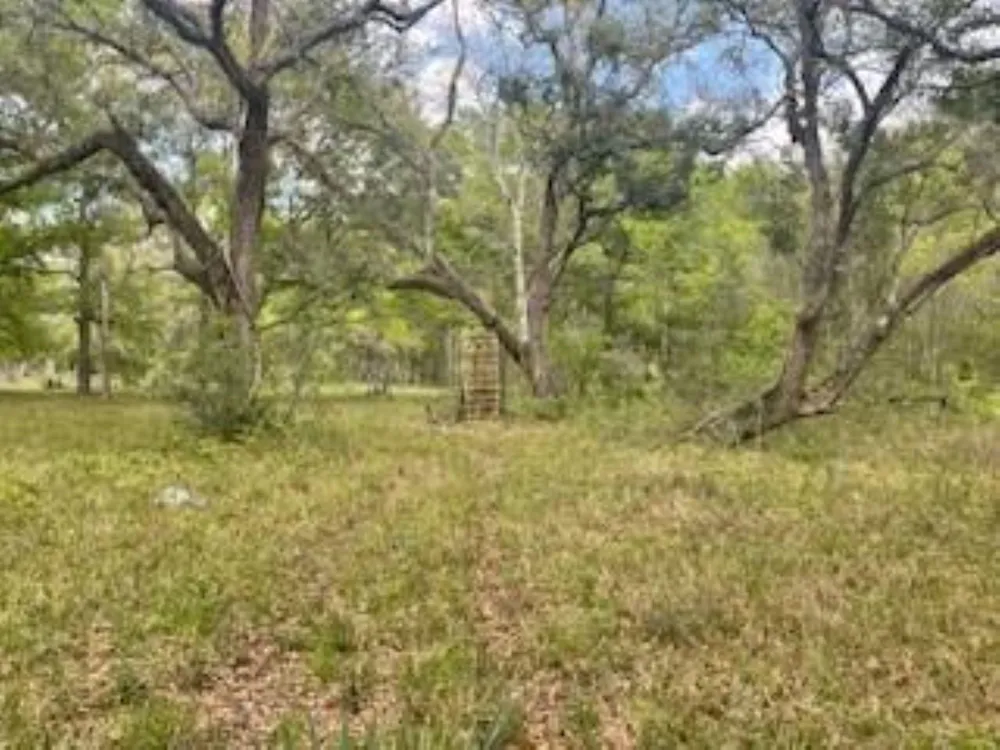 2419 Fm 1459 Road Sweeny, TX 77480