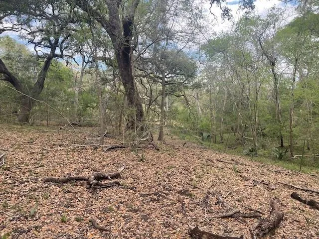 2419 Fm 1459 Road Sweeny, TX 77480