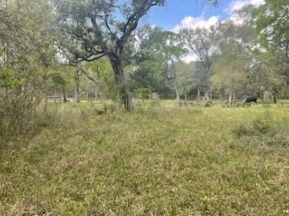 2419 Fm 1459 Road Sweeny, TX 77480