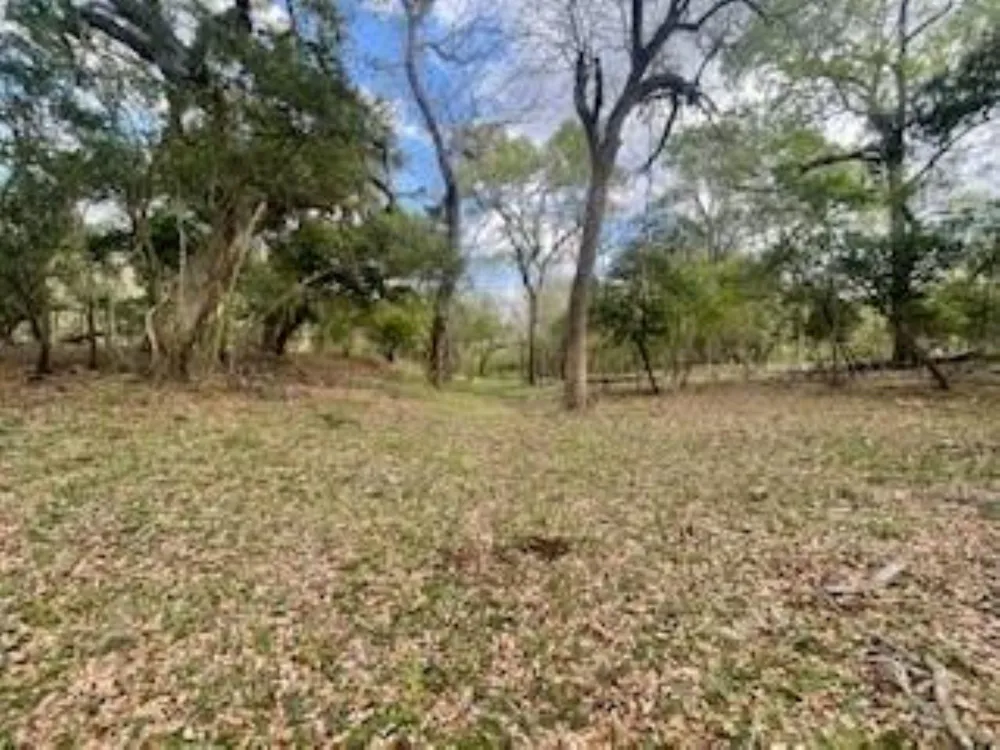 2419 Fm 1459 Road Sweeny, TX 77480