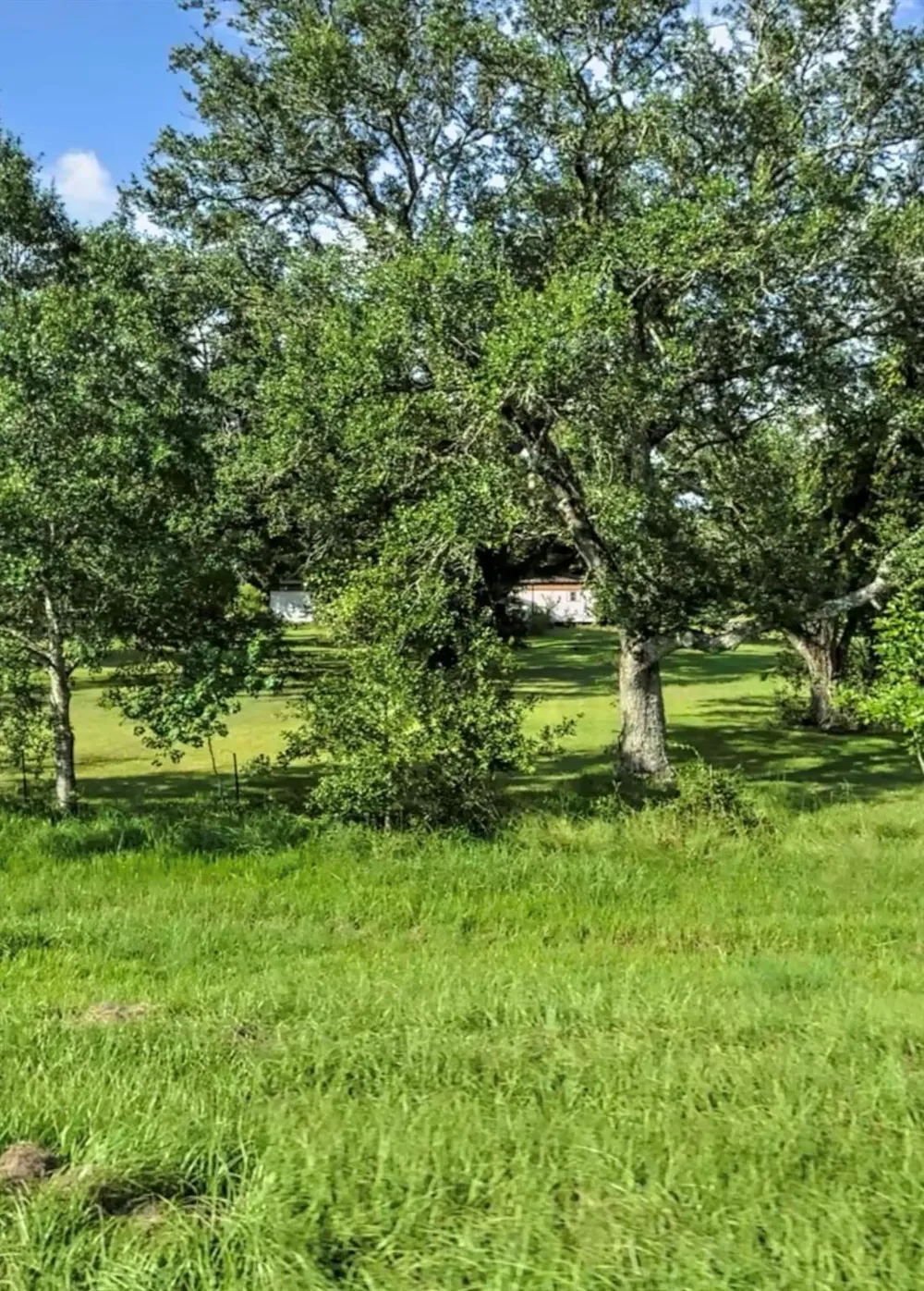 2419 Fm 1459 Road Sweeny, TX 77480