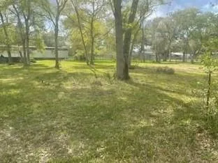 2419 Fm 1459 Road Sweeny, TX 77480