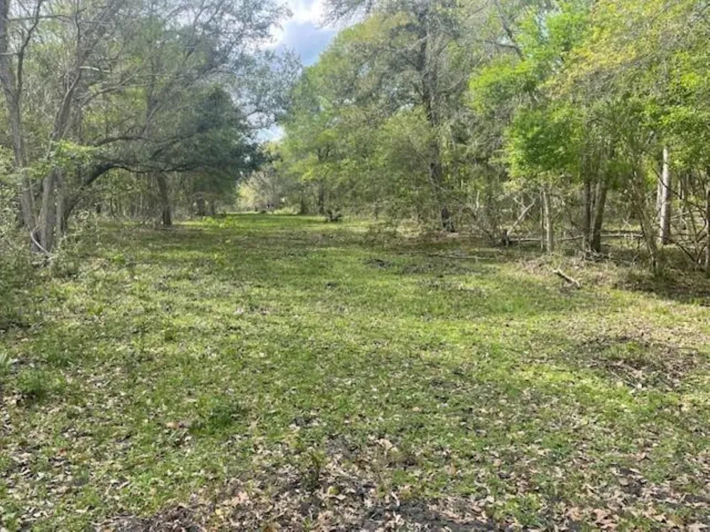 2419 Fm 1459 Road Sweeny, TX 77480
