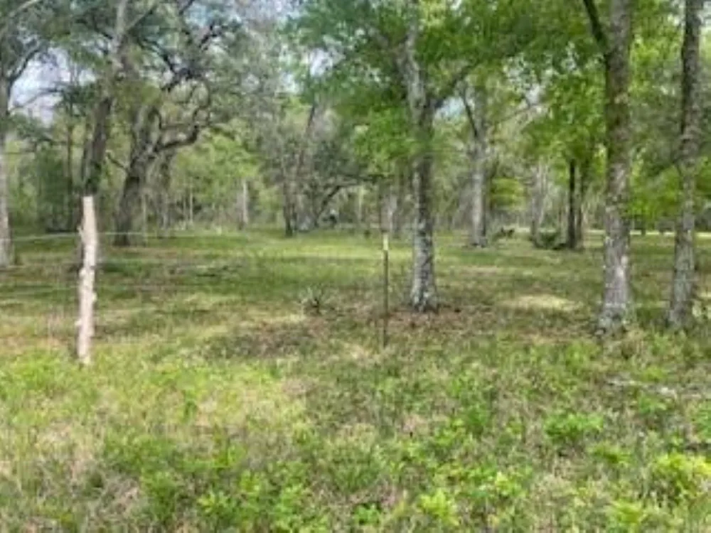 2419 Fm 1459 Road Sweeny, TX 77480