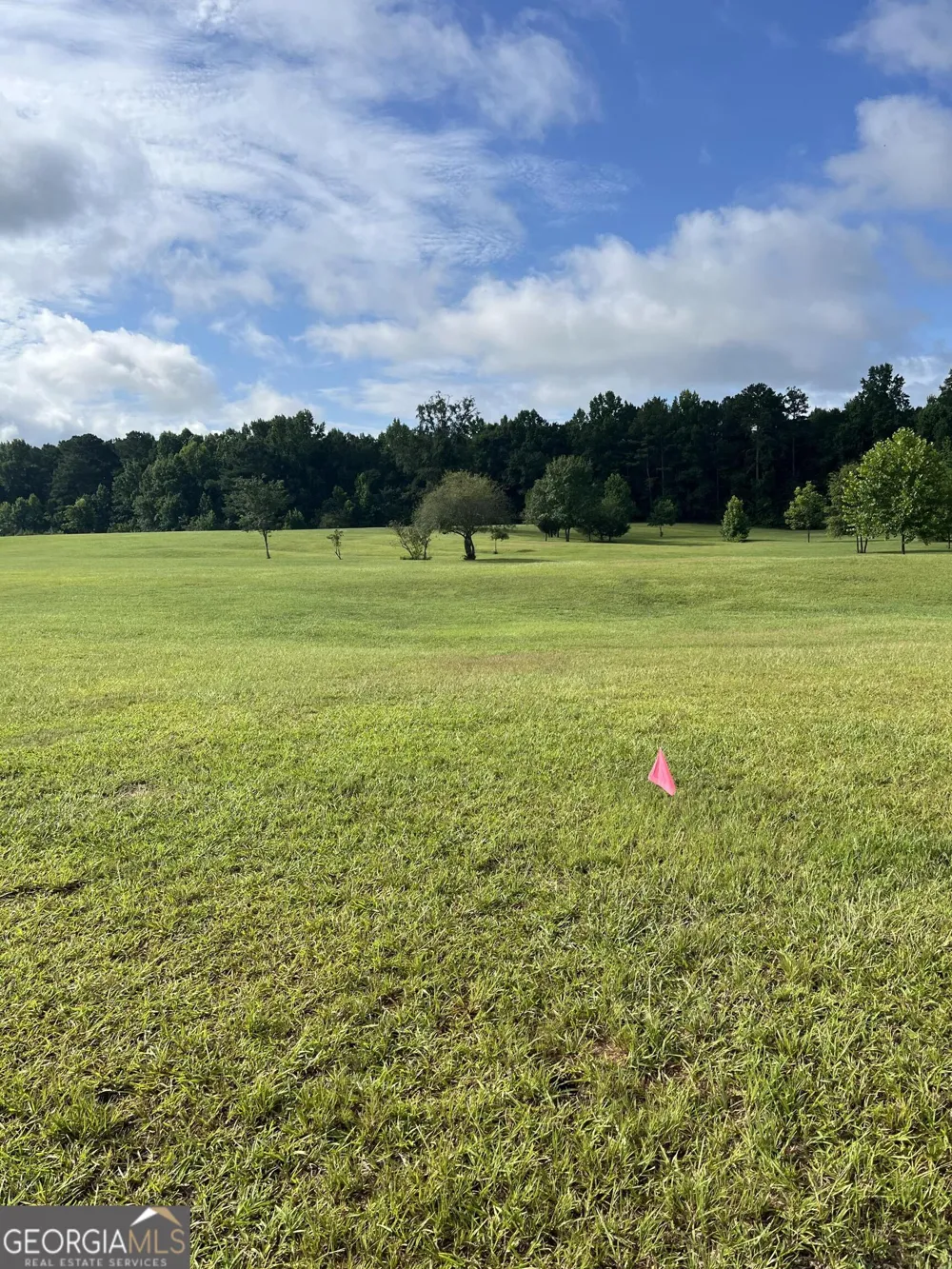 9624 Rocky Mount RD Luthersville, GA 30251