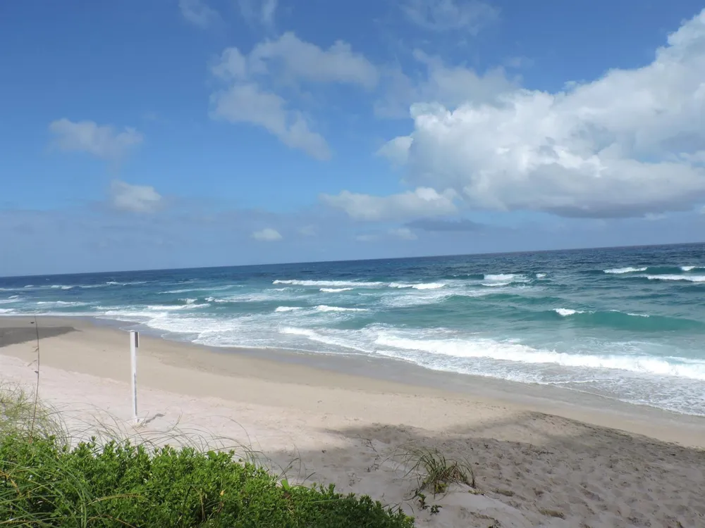 5380 Ocean Drive #2e Riviera Beach, FL 33404