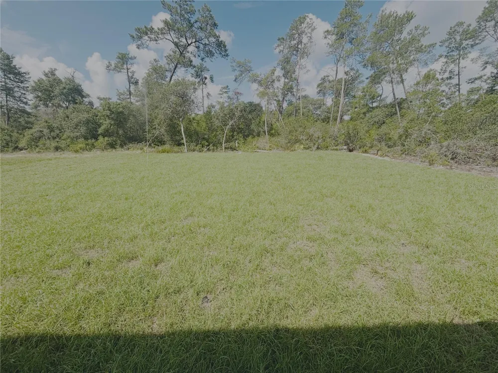 3040 SW 168TH LOOP ocala, FL 34473
