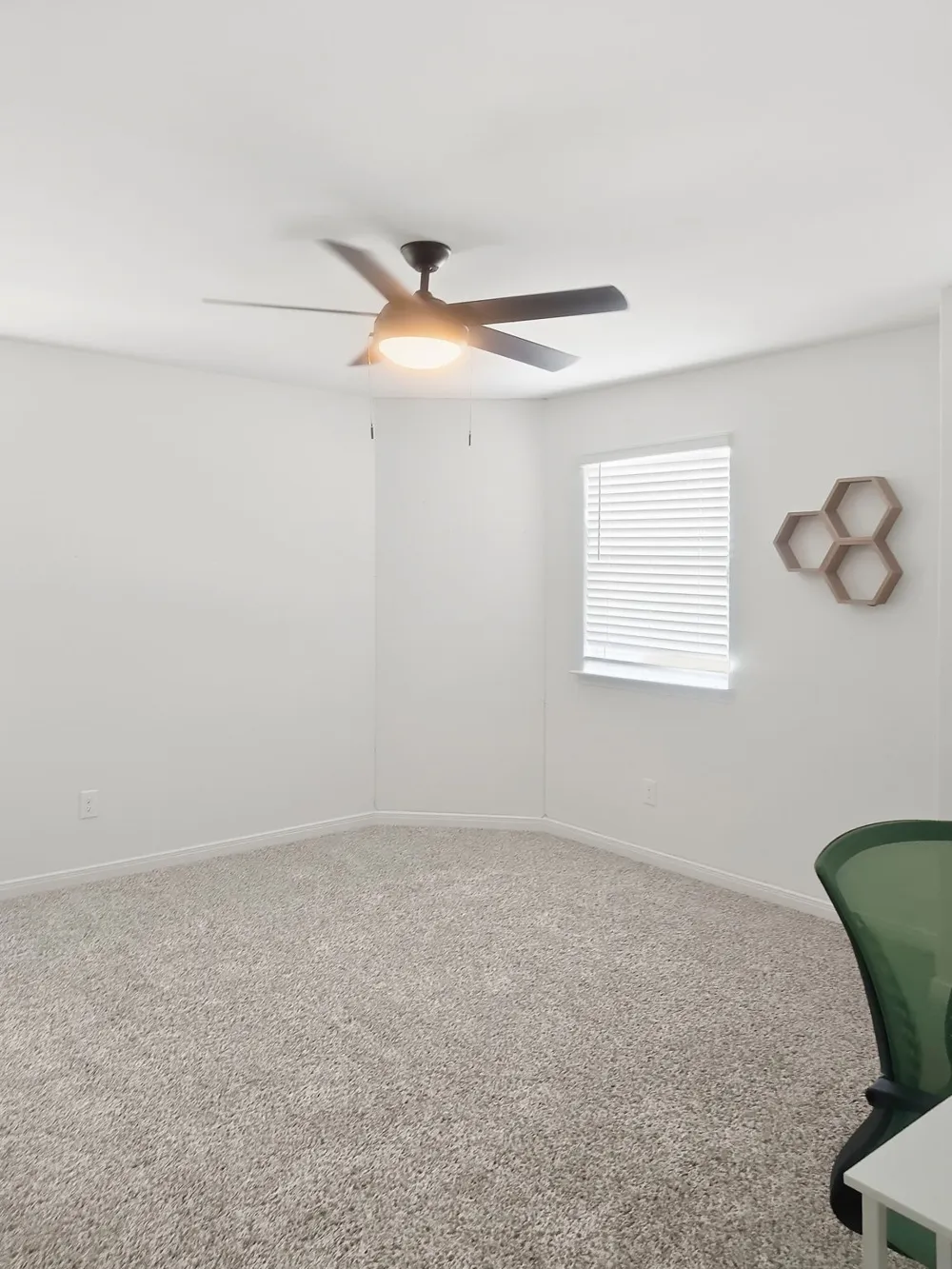8125 White Sulphur Road Ponder, TX 76259