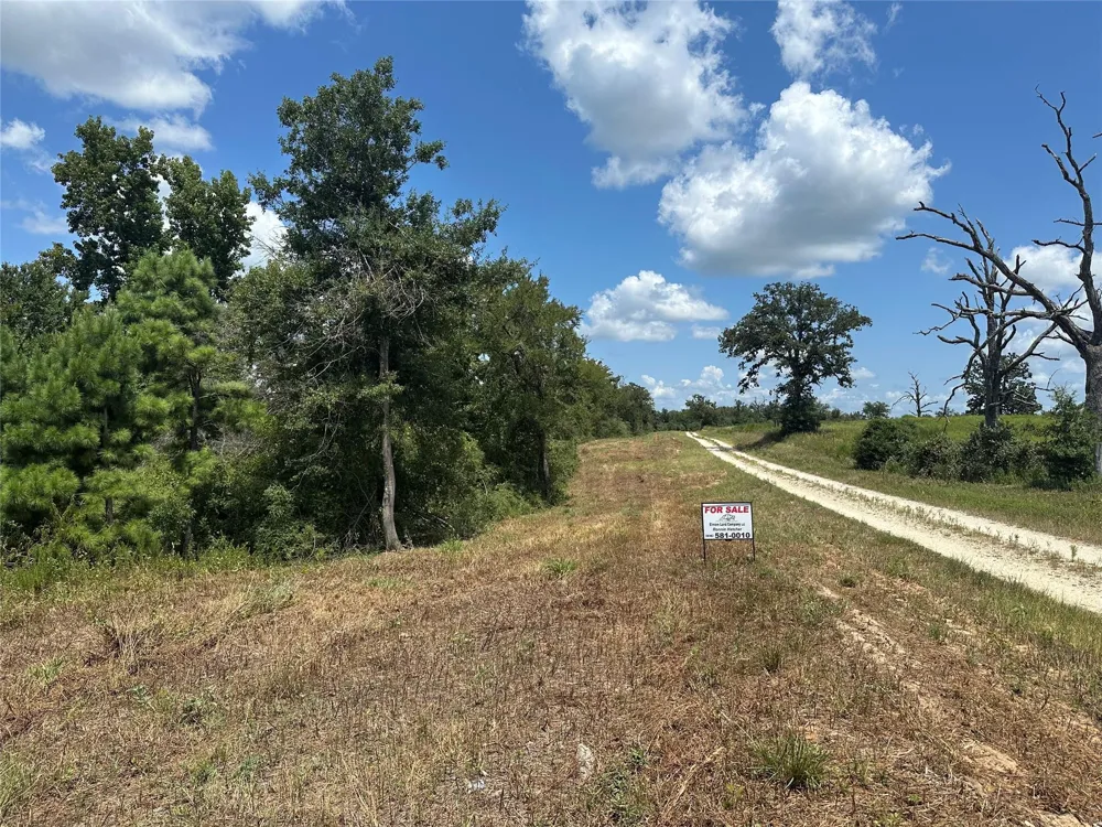 County Road 322 Jewett, TX 75846