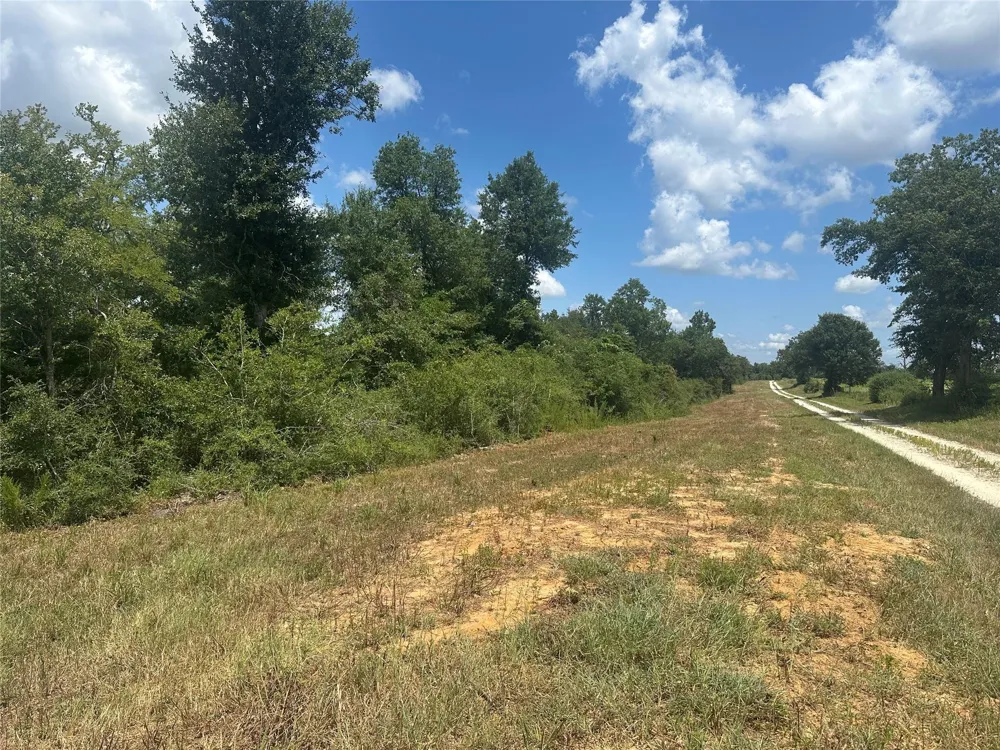 County Road 322 Jewett, TX 75846