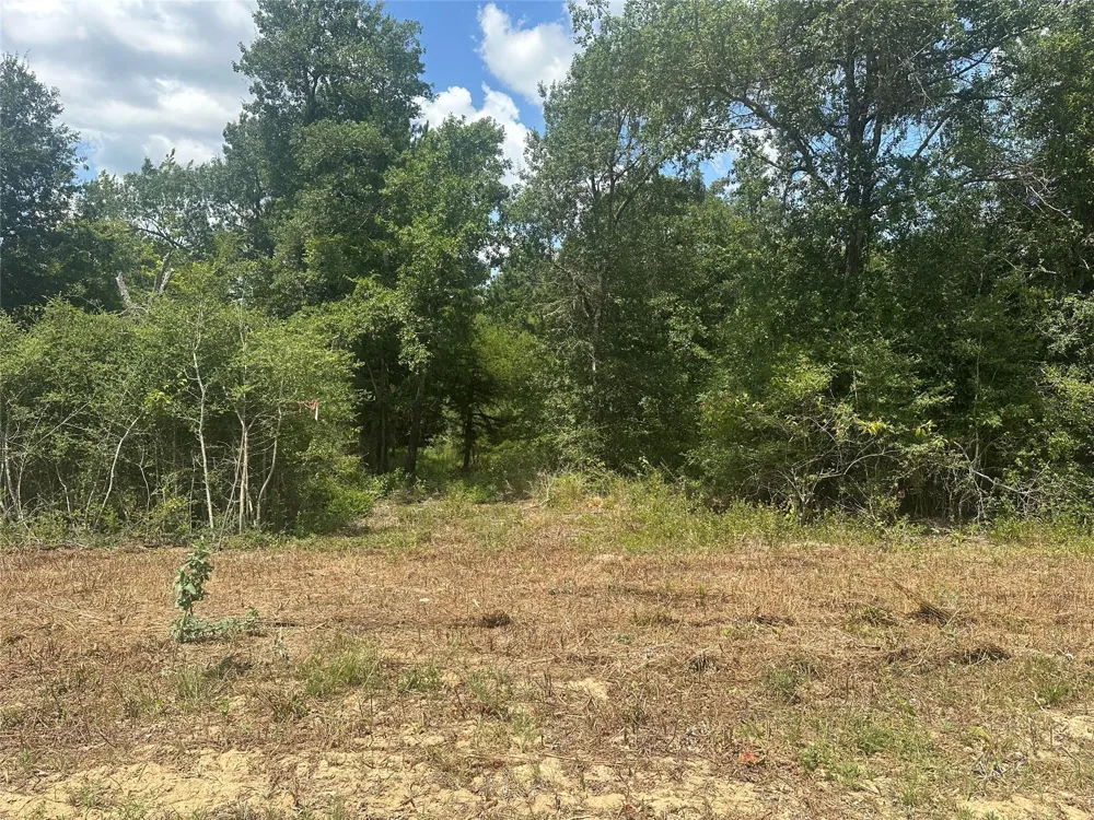 County Road 322 Jewett, TX 75846