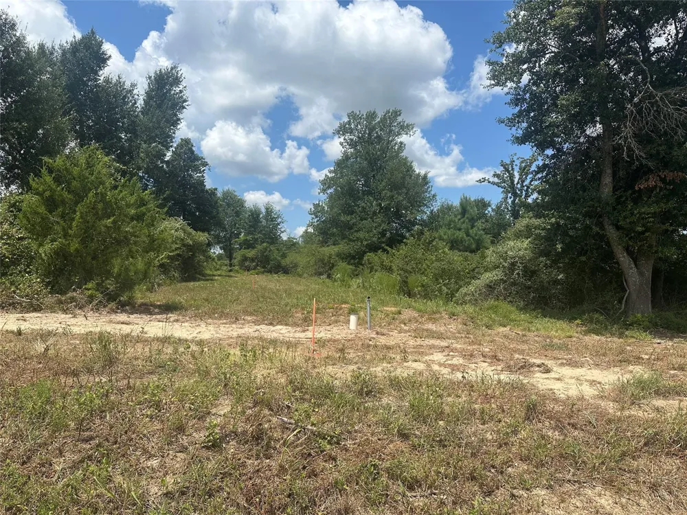 County Road 322 Jewett, TX 75846