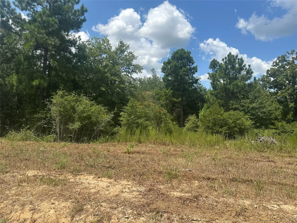 Cr 322 Jewett, TX 75846