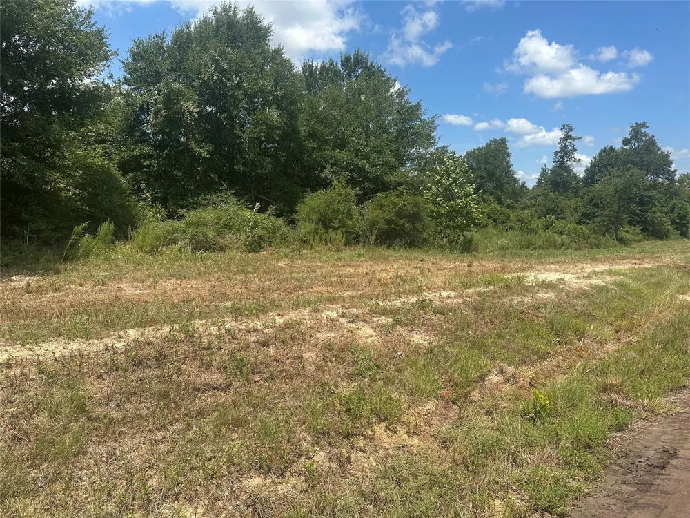 Cr 322 Jewett, TX 75846