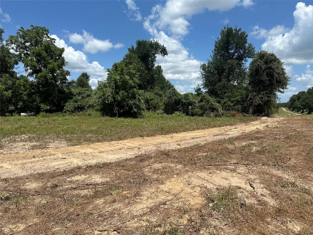 Cr 322 Jewett, TX 75846