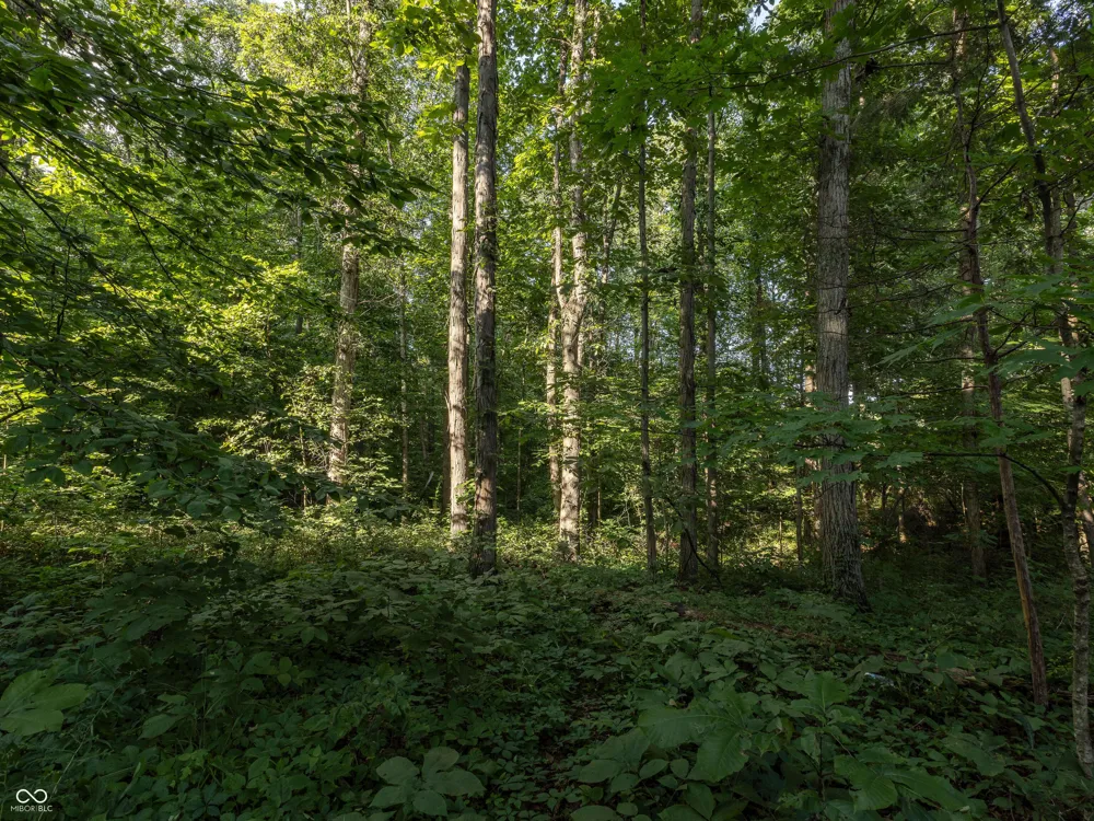 12680 E State Road 7 Elizabethtown, IN 47232
