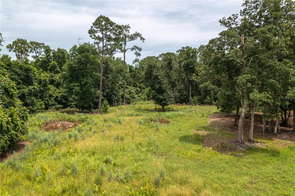 3629 GREAT MASTERPIECE ROAD Lake Wales, FL 33898