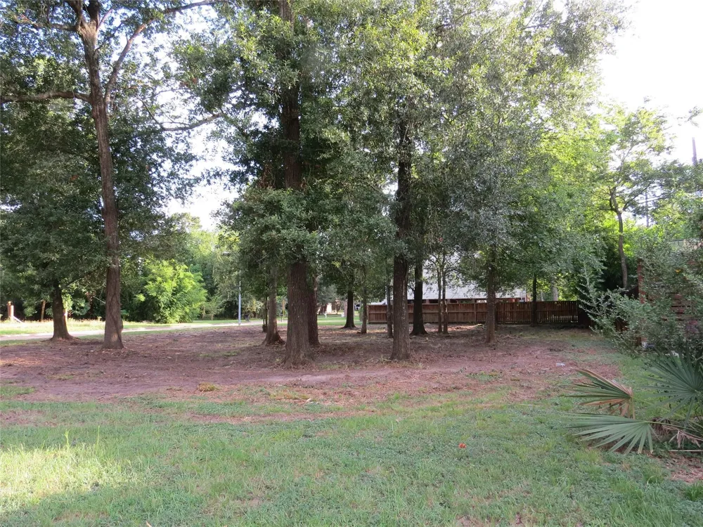 12407 Texas Army Trail Cypress, TX 77429