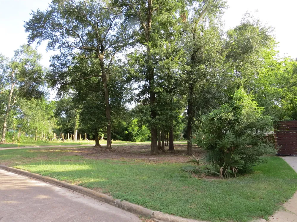 12407 Texas Army Trail Cypress, TX 77429