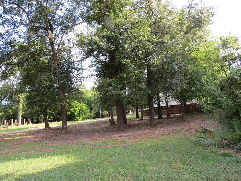 12407 Texas Army Trail Cypress, TX 77429