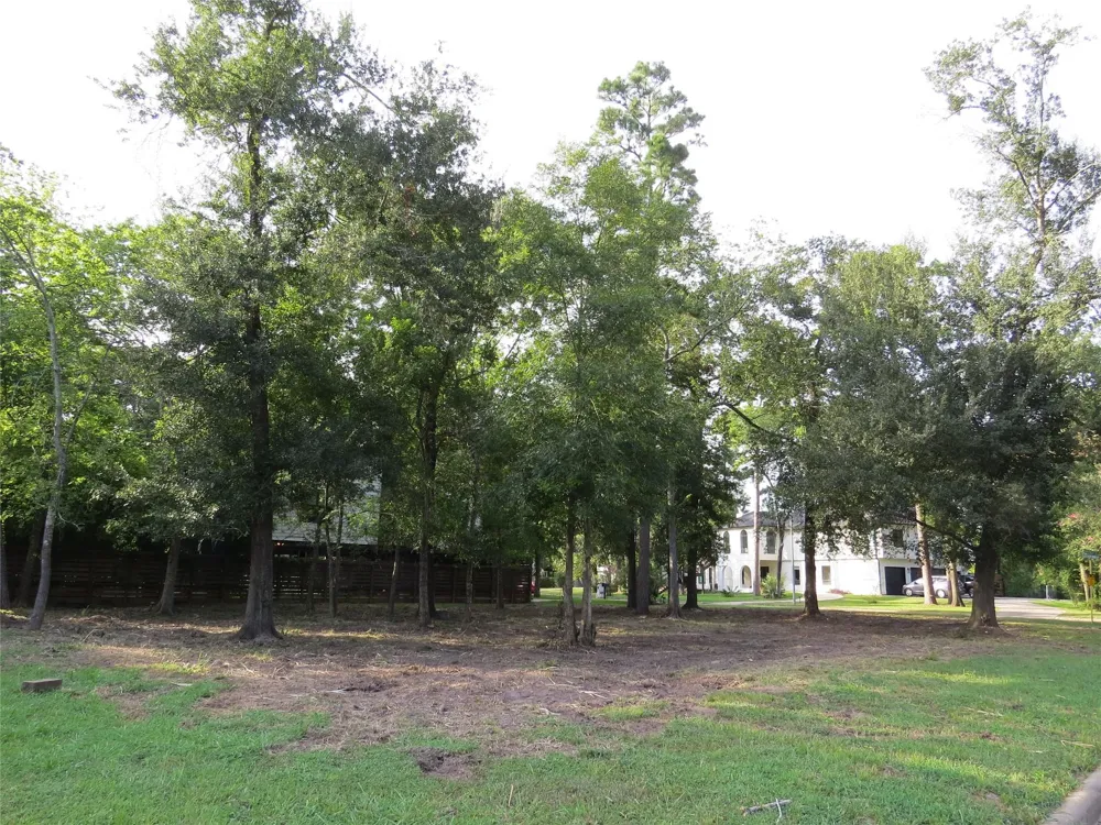 12407 Texas Army Trail Cypress, TX 77429