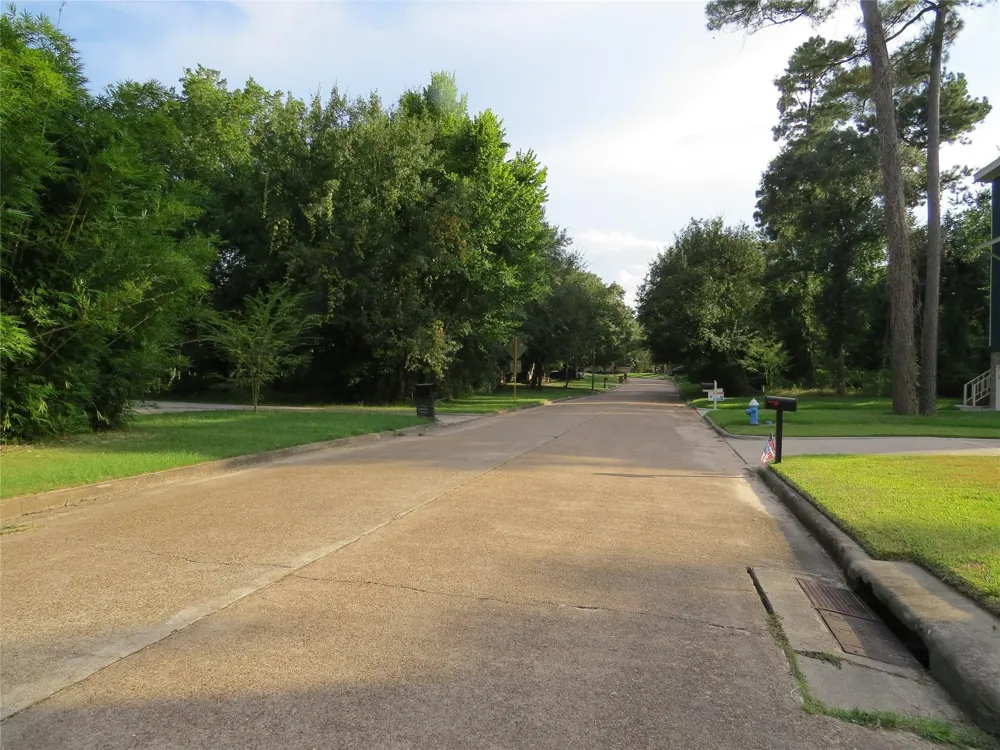 12407 Texas Army Trail Cypress, TX 77429