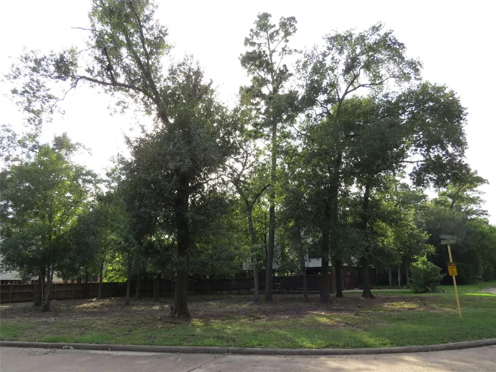 12407 Texas Army Trail Cypress, TX 77429