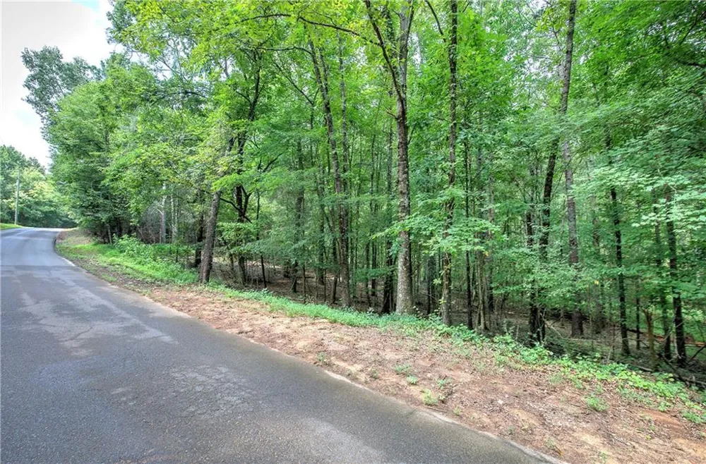 0 Weissinger Road Kingston, GA 30145