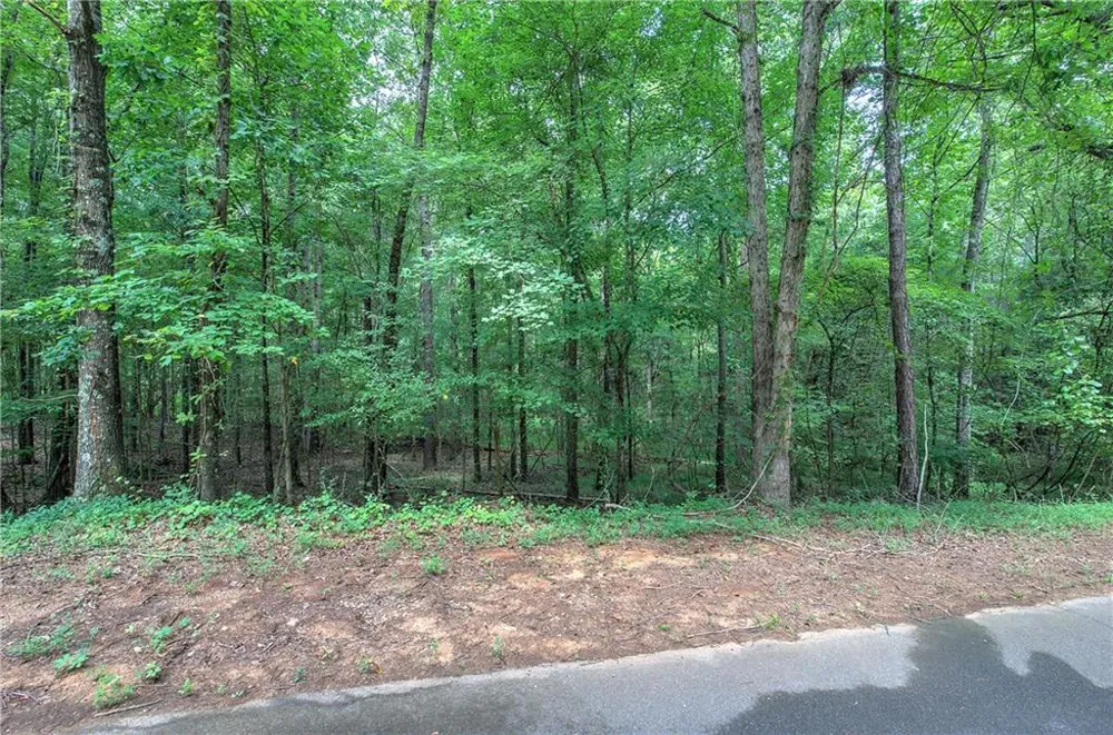 0 Weissinger Road Kingston, GA 30145